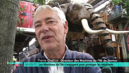 3 questions en plus ; les Machines s'engagent pour les éléphants
