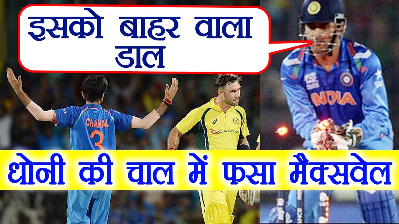 India Vs Australia : MS Dhoni's strategy got  Glenn Maxwell out, Know How ?|वनइंडिया हिंदी
