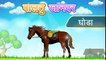 Learn Domestic Animals | Animated Video For Kids | Hindi Animation Video For Children