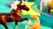Summer Pool Party - Breyer Horses Stablemates Mares Stallions Foals Horse Water Play Video