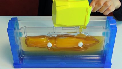 Giant Squid/Architeuthis dux Gummy Making Kit 【Cooking Toy】