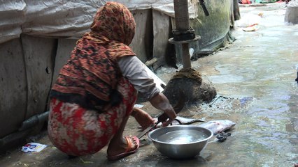 Les Rohingyas réfugiés en Inde craignent d'être expulsés