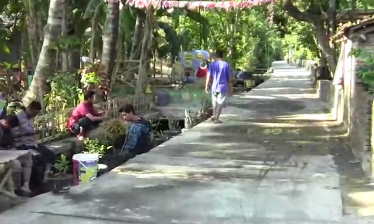 Kolam Ikan di selokan