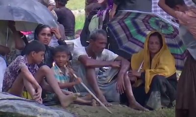 Download Video: Dari Indonesia untuk Rohingya - BERKAS KOMPAS (Bag. 1)