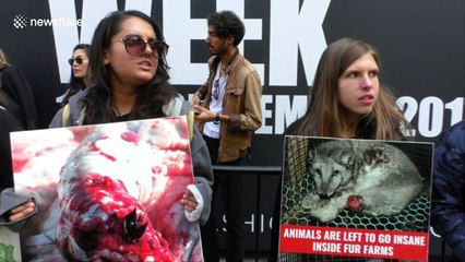 Anti-fur protesters demonstrate at London Fashion Week