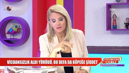 Köpeğe tekme atan vicdansıza ünlülerden tepki yağdı!
