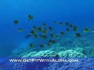 Live Into It: "Save Our Seas"!