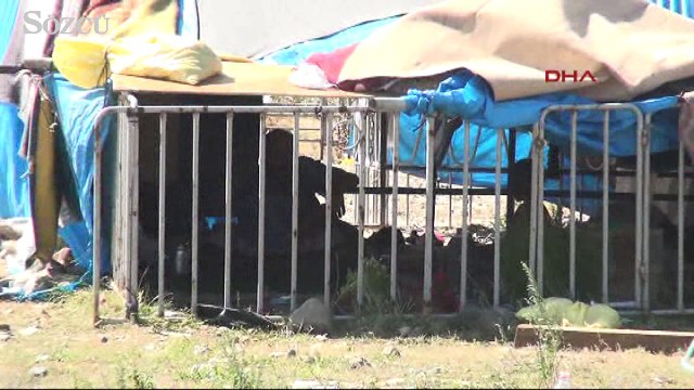 İflas eden milyonluk tesis, Suriyelilerin barınma alanı oldu