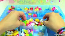 Shopkins Storage Case How to Store Your Shopkins Season 2