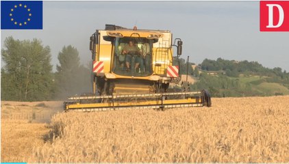 PAC : témoignage de céréaliers, dans l'Aude