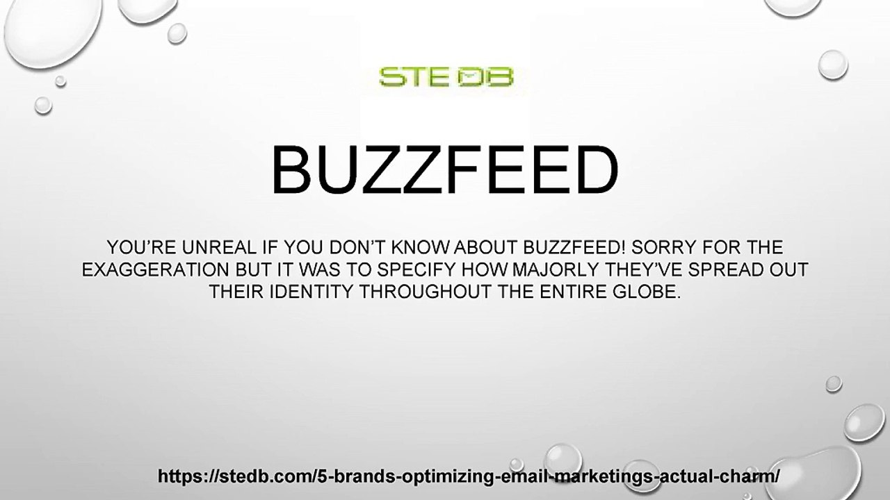 STEDB Email Marketing Provider | Free Email Services