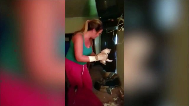 Elle entend des bruits dans son mur et décide de faire un trou... Regardez ce qu'elle y trouve!