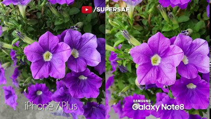 Galaxy Note 8 vs iPhone 7 Plus Camera Test Comparison