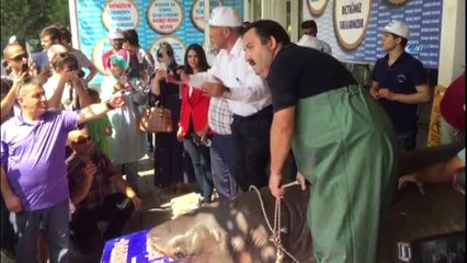 Köpekbalığı, Kanser Hastalarına Ücretsiz Dağıtıldı