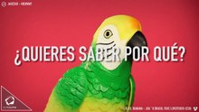 Sexo real