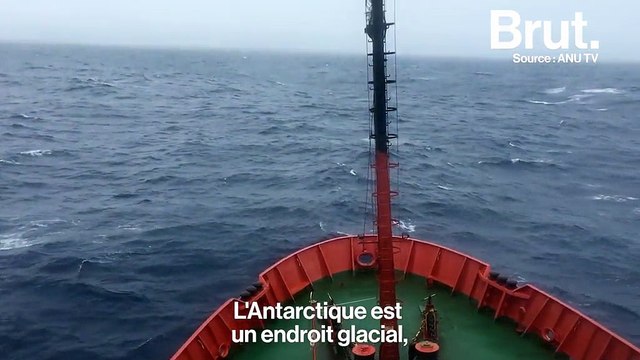 Il peut faire 25 degrés dans ces cavernes souterraines découvertes en Antarctique