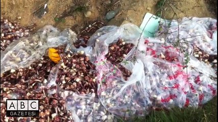 Şenpiliç, atıklarıyla çevreyi kirletiyor