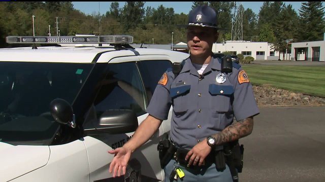 Dashcam Footage Shows Washington State Trooper Grabbing Suicidal Man at Last Second