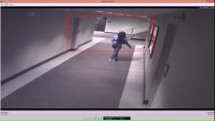 Police Release Surveillance Video Of Kenneka Jenkins - Full Footage