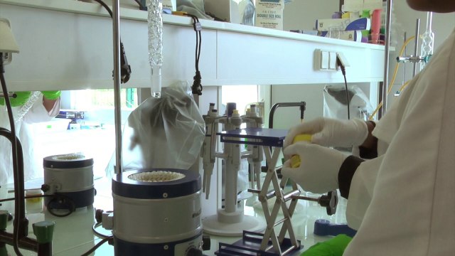 DUT GCGP - IUT de Velizy (Version Courte)