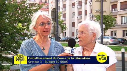 Budget Participatif - Embellissement du Cours de la Libération