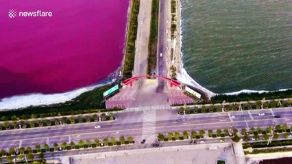 China's Dead Sea 'turns pink and green'
