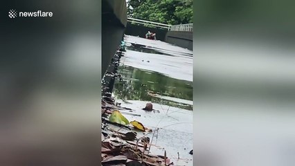 Police hunt couple filmed 'romping' in the rain on motorway bridge