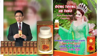 Sơ lược về Đông Trùng Hạ Thảo và công dụng của nó