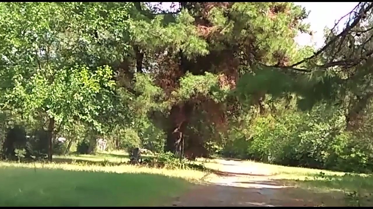 Camping asprovalta auto2