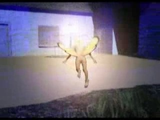 Why There Are No Fairies