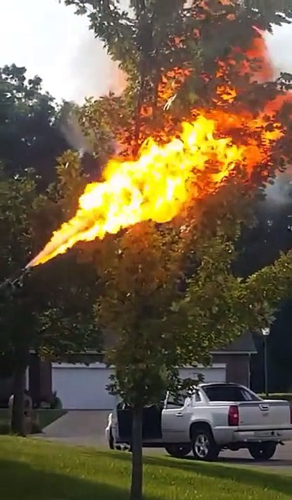 Un homme met en feu un nid de frelon par un lance-flamme !
