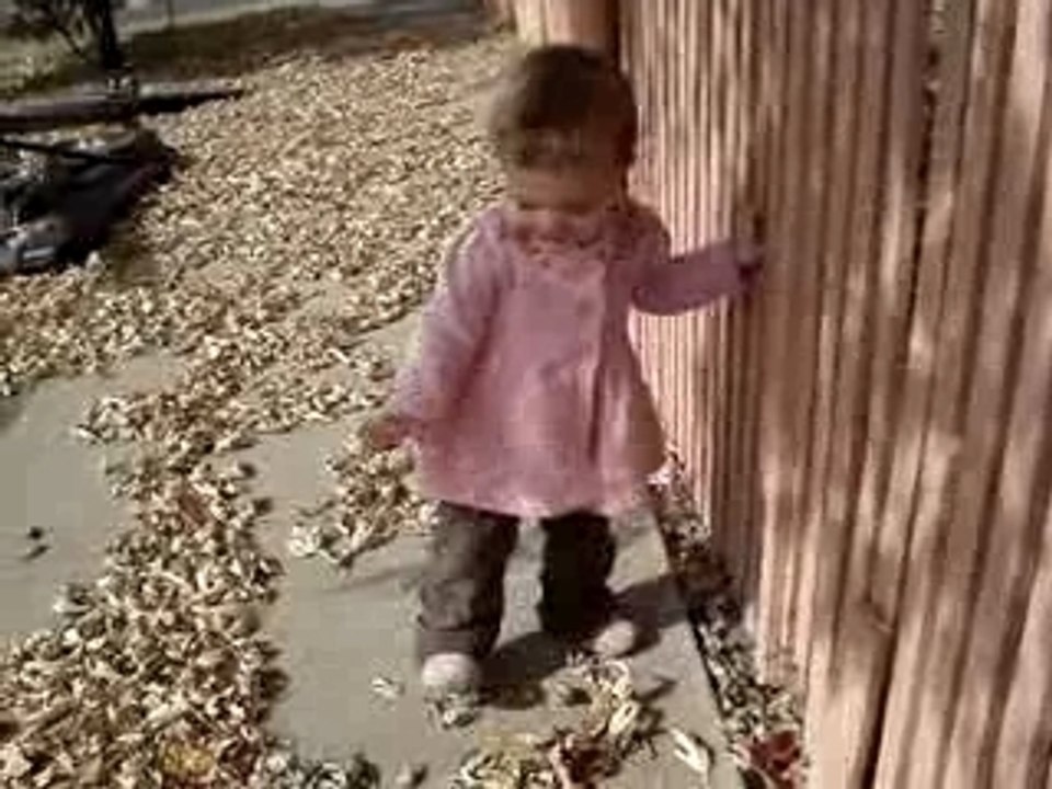 MOV03913