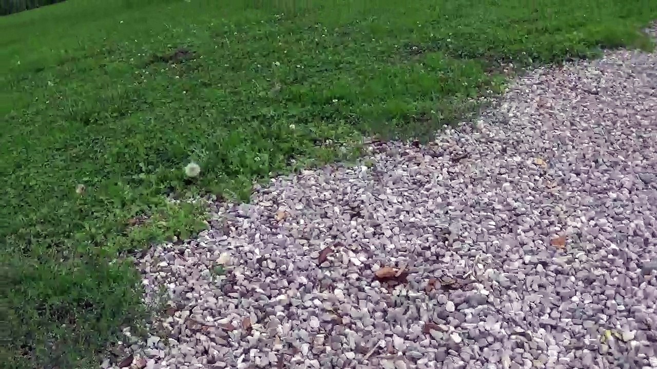 94ème Vidéo Pétard n°8 de STAFFORDLAND