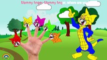 Tom and Jerry HULK Finger Family Song - Tom and Jerry Cartoon Nursery Rhymes Lyrics Songs For Kids