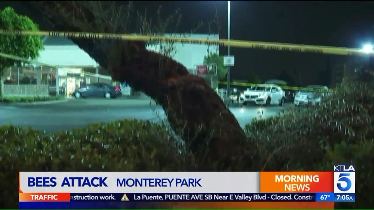 6 People Injured in Bee Attack Outside Californ...
