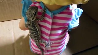 BABY ALIVE Gets A Bearded Dragon!