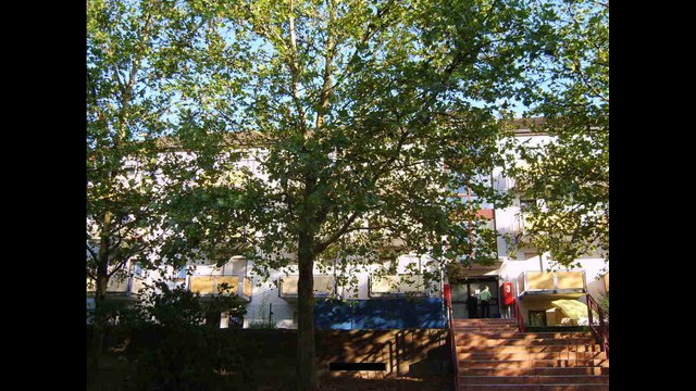 Immobilienmakler Leimen Zu verkaufen: 1 Zimmer, 42qm Wohnung, mit Stellplatz - die ideale Kapitalanlage