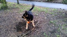Kai want this root.