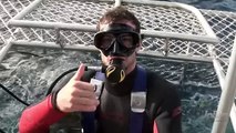 Açık Deniz 3 Kafes Dalışı izle | Open Water 3 Cage Dive izle 2017 Türkçe Altyazılı izle