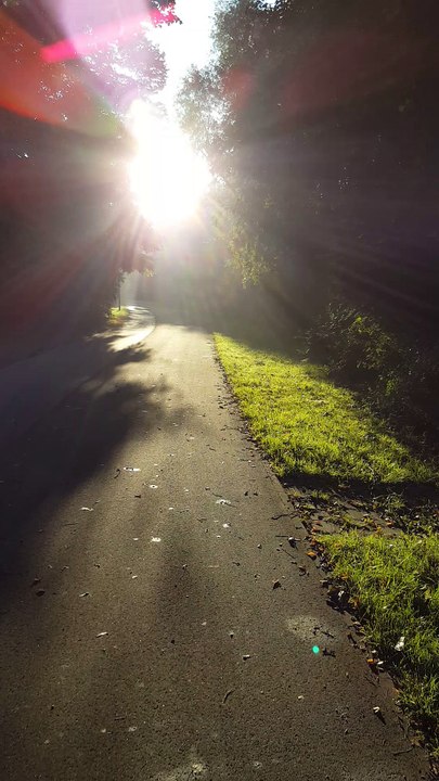 ☆Moin Hamburg ☆8(18.09.17) 8.00