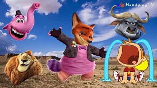 Wrong Heads Real Animals with Zootopia | Lion, Elephant, Buffalo - Finger Family Nursery Song