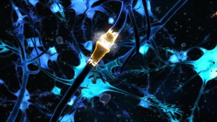 Вольт Короткометражный Фильм Супер Рино