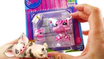 Disney Moana PUA Custom Toy with Littlest Pet Shop Easy DIY Tutorial | Evies Toy House