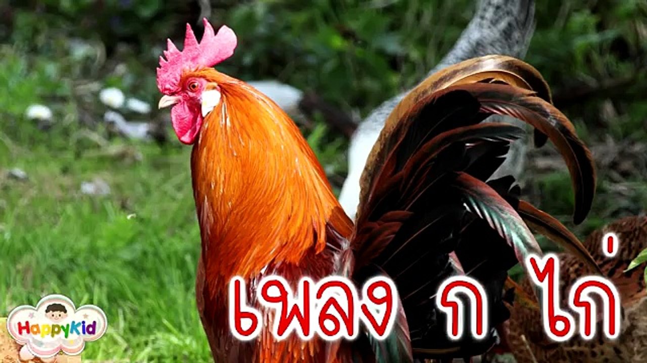 เพลง ก เอ๋ย ก ไก่ ภาพจริง เสียงเพราะ เด็กจำง่าย | พยัญชนะไทย | Learn Thai Alphabet