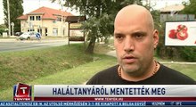 Haláltanyáról mentették meg
