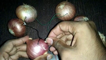 प्याज से बिजली बनाना सीखे || How to make light with onions in hindi