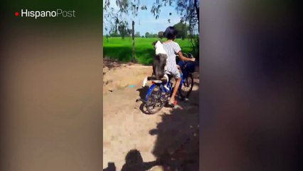 Perro viaja de copiloto en una bici como si fuera un humano