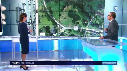 Télécommunications : quel opérateur mobile pour bien capter ?