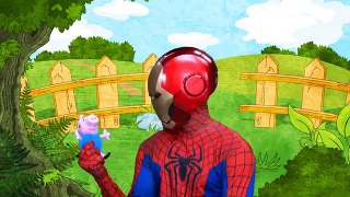 Iron Spiderman Balloons Finger Family. Learn Colors with Balloons Finger Family Songs for Toddlers