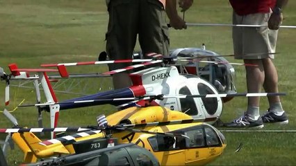 Scale Heli Action - Heli Fun Fly